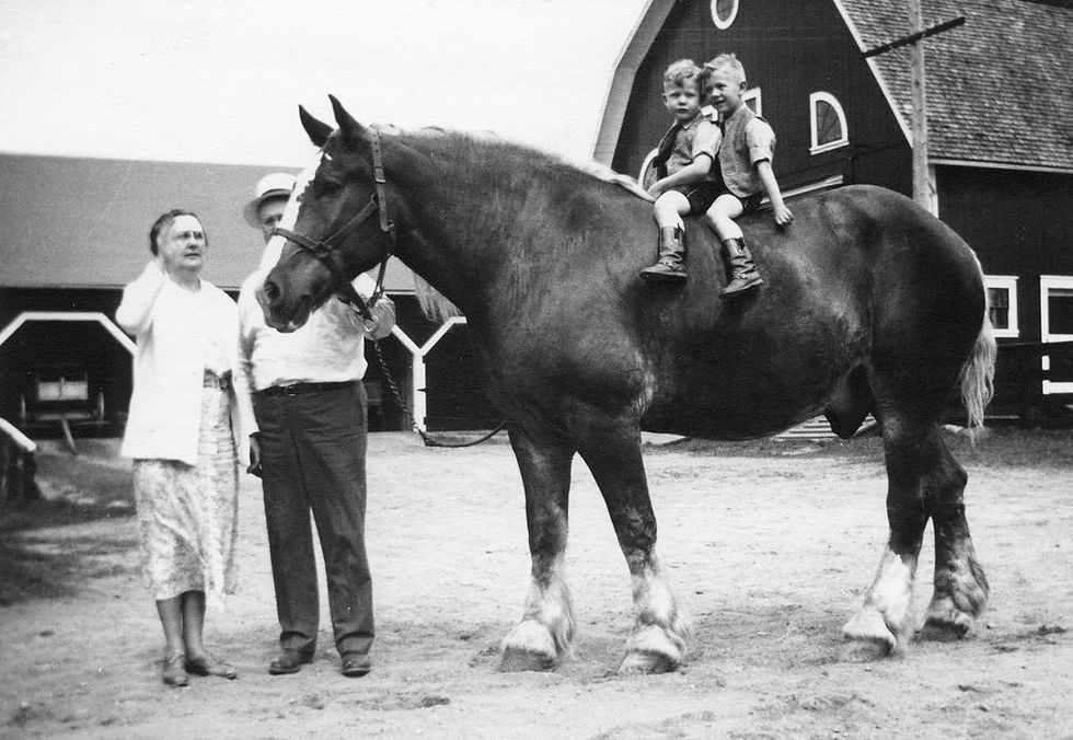 Two children sit on a large horse, while an older couple stands beside it. They're outside a barn on a dirt path. The mood is nostalgic.