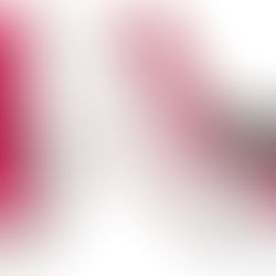 Illustration showing three cross-sections of a horse hoof with red tendons and white bones. Text at top reads “by Horse Education Online.”