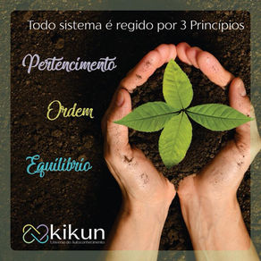 Todo sistema é regido por três princípios