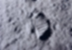 moon walk.webp