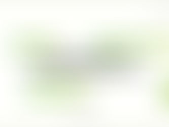 Why Social Media Branding Matters Today?