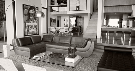 Designer Living Room