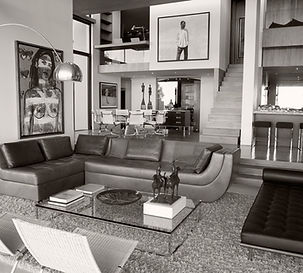 Designer Living Room