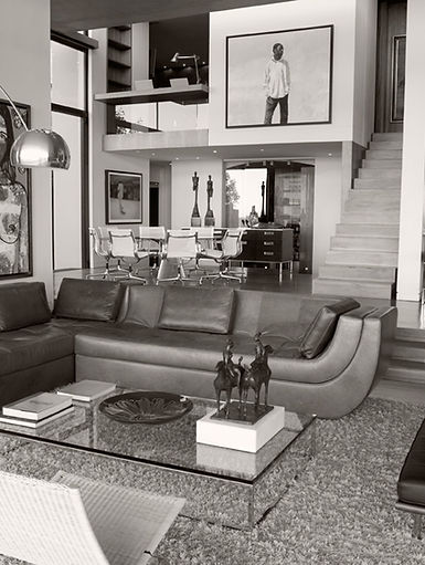Designer Living Room