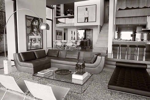 Designer Living Room