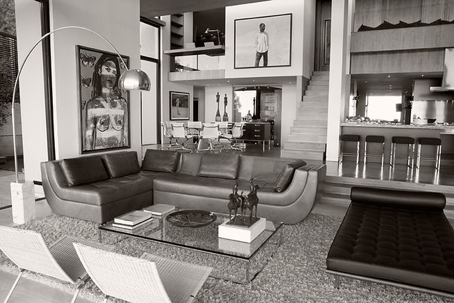 Designer Living Room