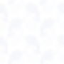 hintergrundblätter_edited.jpg