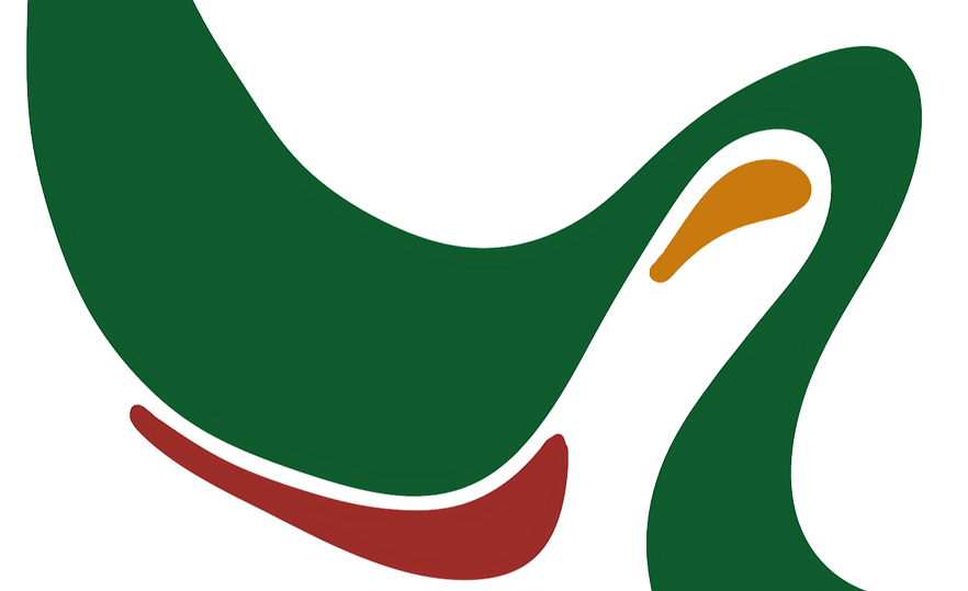 website layout home_edited_edited_edited