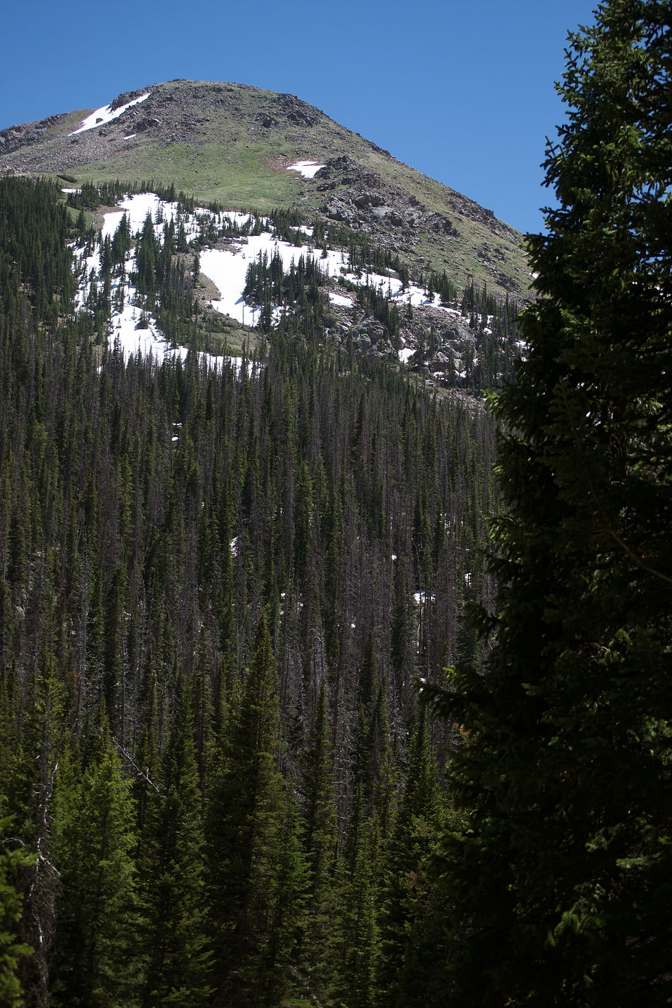 Snowcapped mountain in Wyoming by Ethan Bertini | That's Wild Outdoors