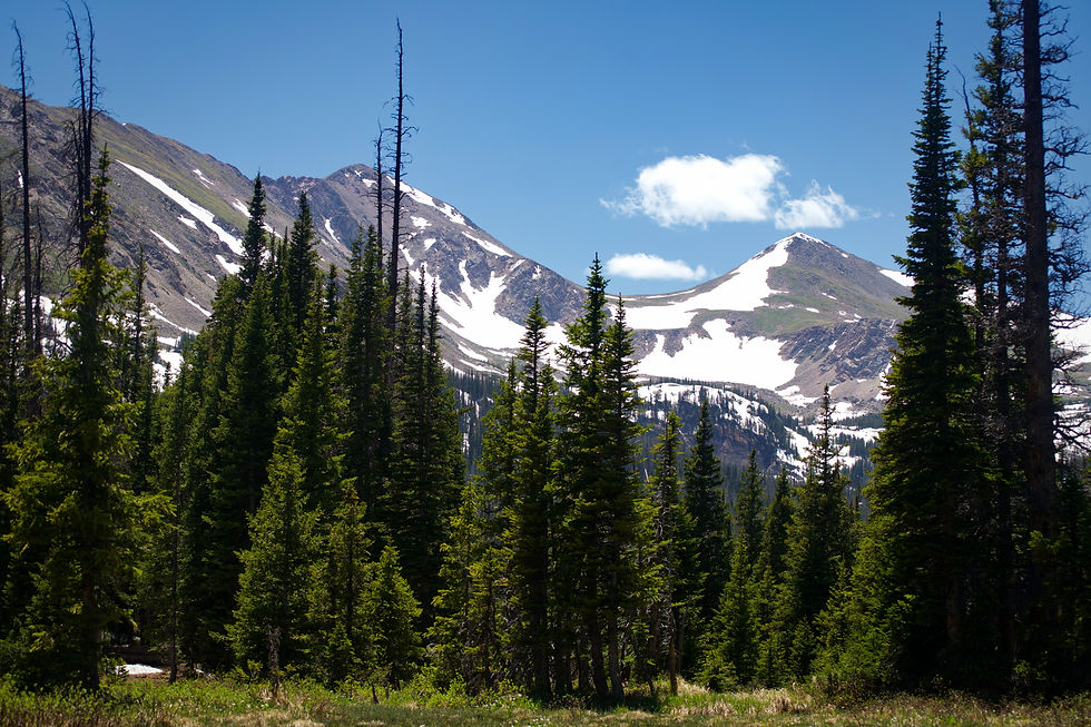 Snowcapped mountains in Wyoming by Ethan Bertini | That's Wild Outdoors