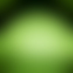 West Texas Night Sky: Through Night Vision