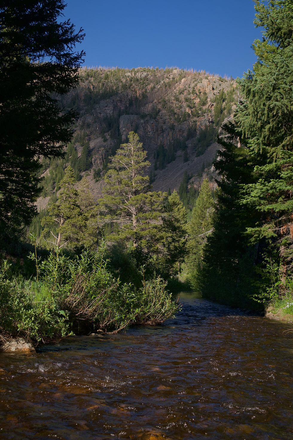 Sun set and granite on river in Wyoming by Ethan Bertini | That's Wild Outdoors