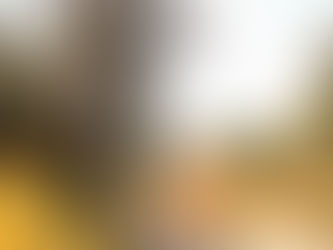 Rebound: Trekking Through The Unfamiliar