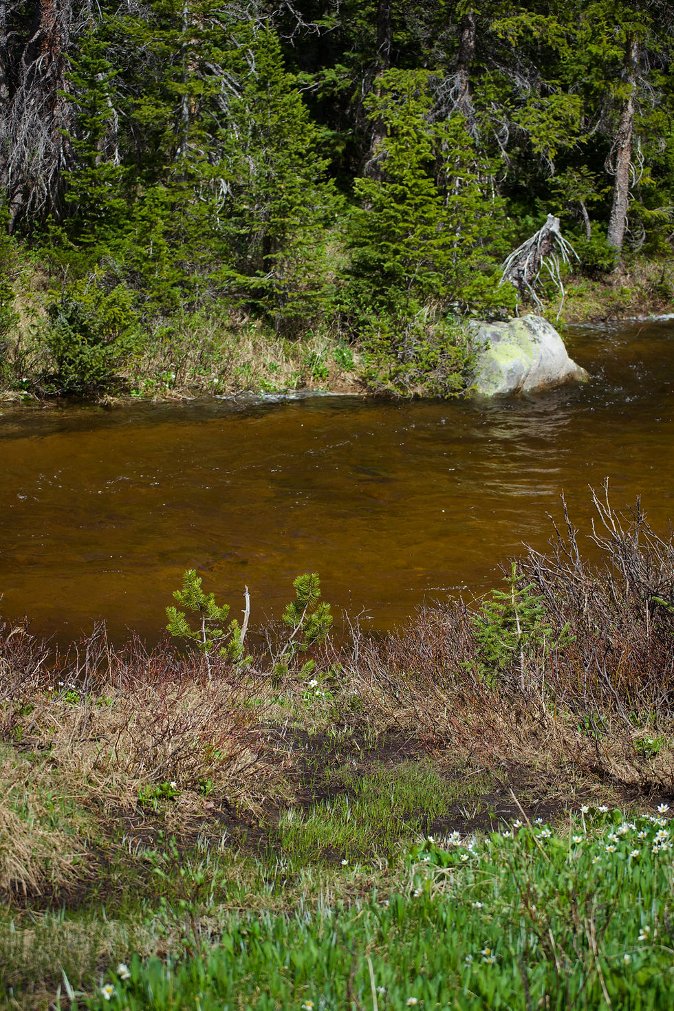 Clear river in Wyoming by Ethan Bertini | That's Wild Outdoors