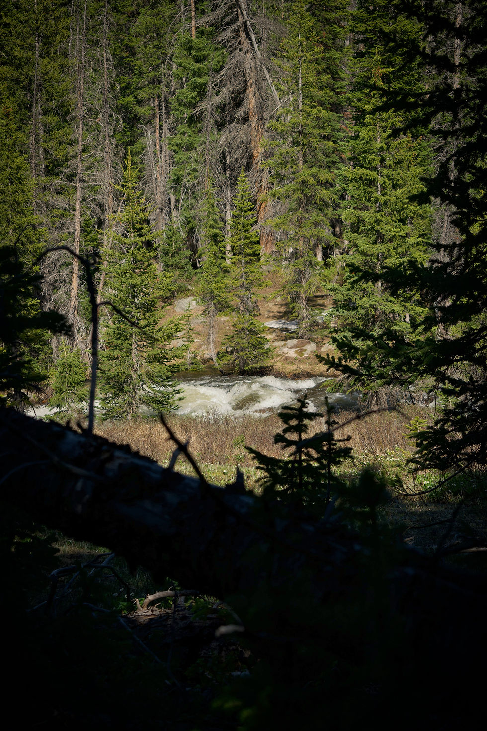 Rushing river in Wyoming by Ethan Bertini | That's Wild Outdoors