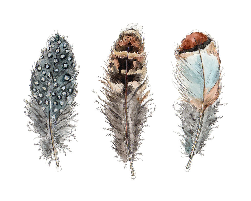 Thumbnail: Feathers
