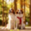 LINE_ALBUM_220827_1.jpg