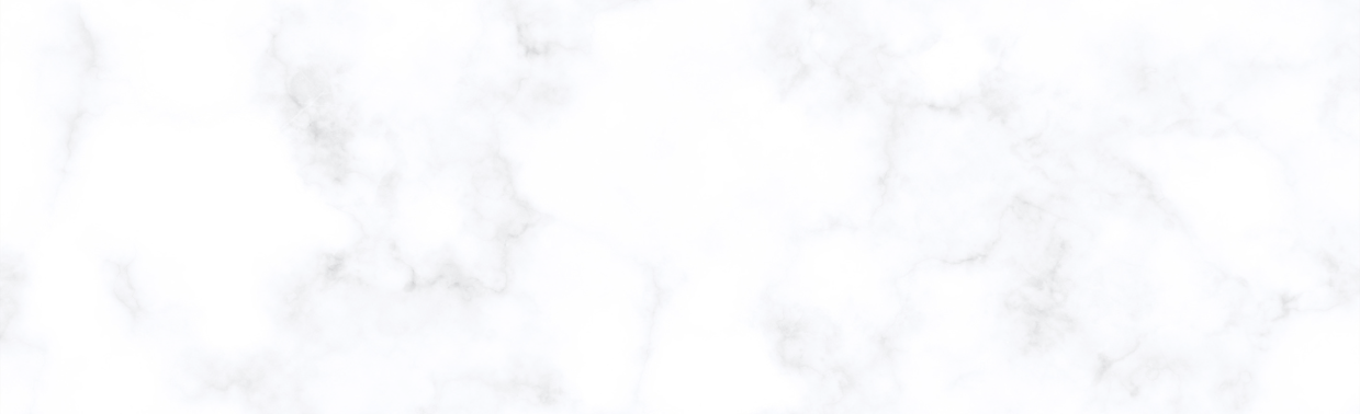 ww website banner LOGO (4).png