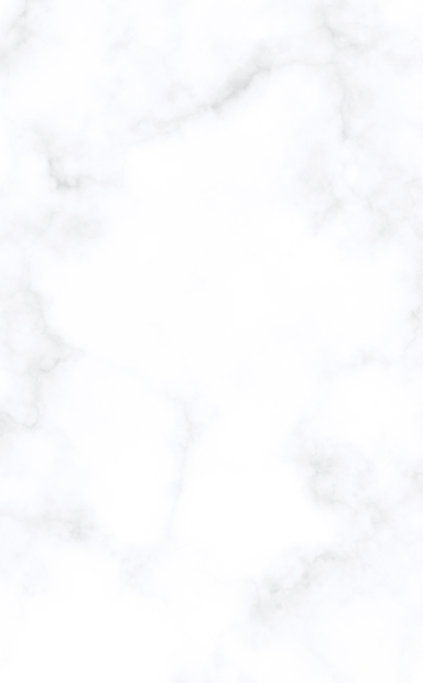 ww website banner LOGO (4).png