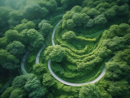 Sustainable Success through Tailored Strategies