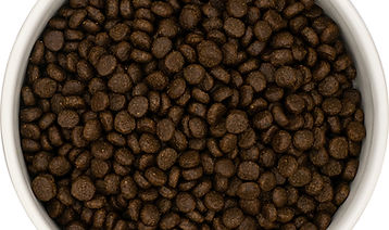 LUCKY AND SUNNIE BOUTIQUE D'ALIMENTATION POUR CHATS ET CHIENS
LUCKY & SUNNIE