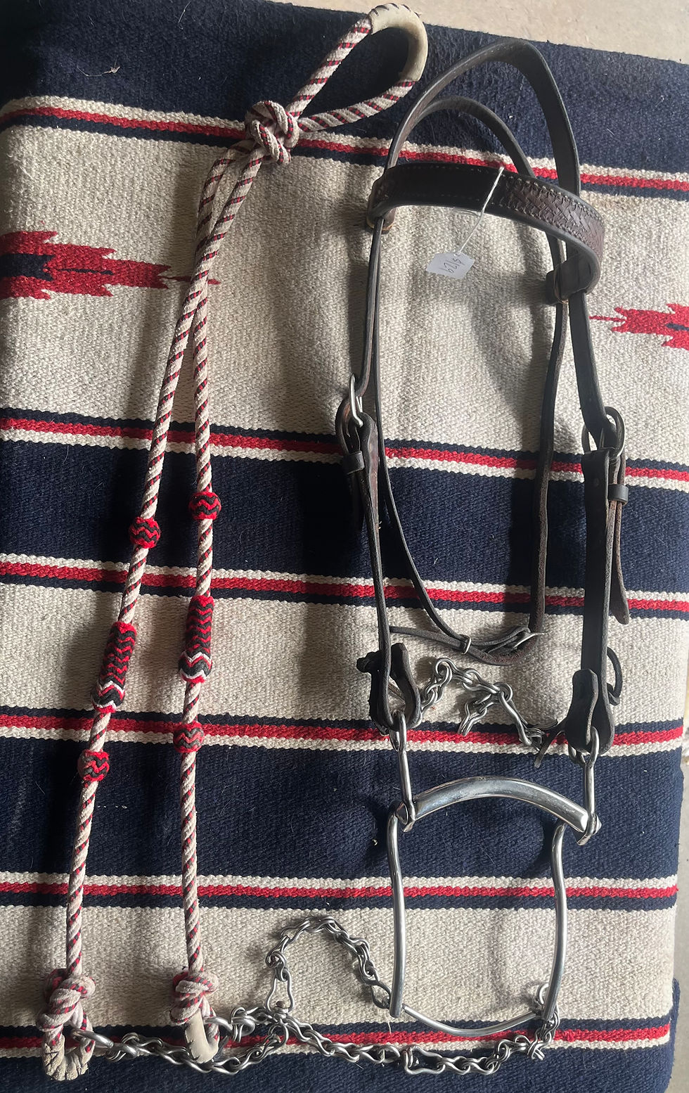 Thumbnail: Charro Bridle