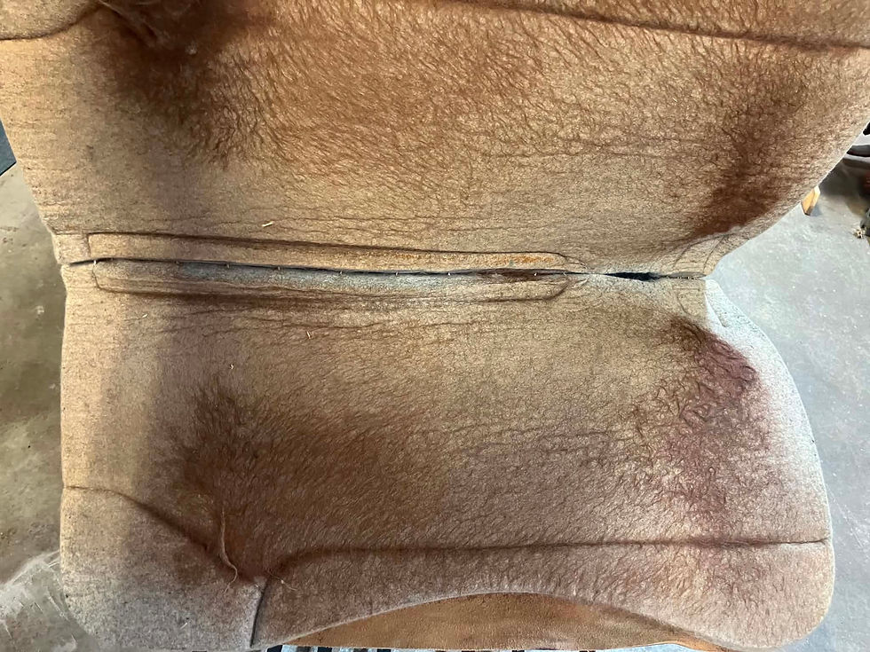 Thumbnail: Best Ever Wool Saddle Pad