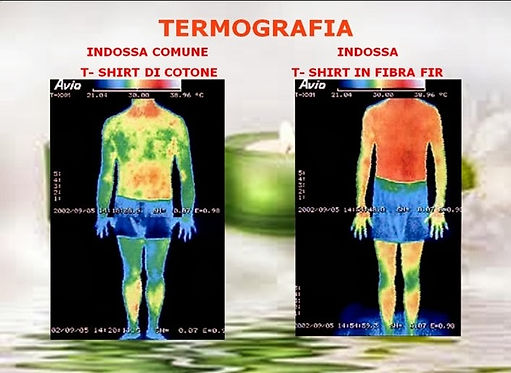 15-Termografia.jpg