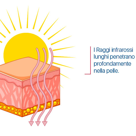 sole.jpg