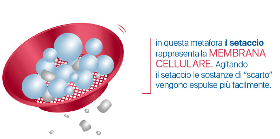 setaccio.jpg
