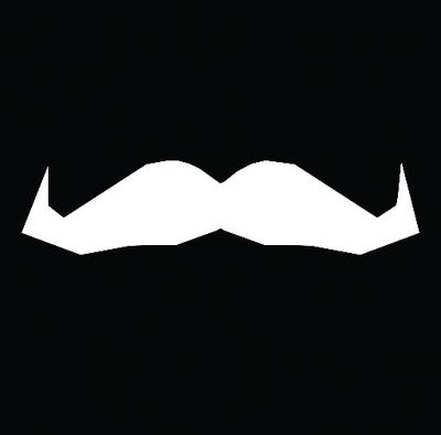 Moustaching for Movember!