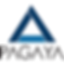 pagaya logo.png
