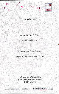תעודת סיום לימודי סטיילינג תרפי