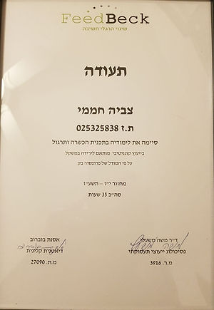 תעודה על טיפול בירידה במשקל באמצעות CBT