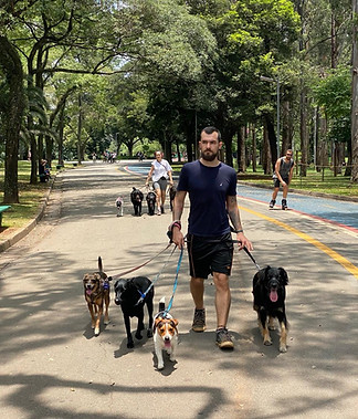 WhatsApp Image 2024-04-23 at 15.46.22.jpeg