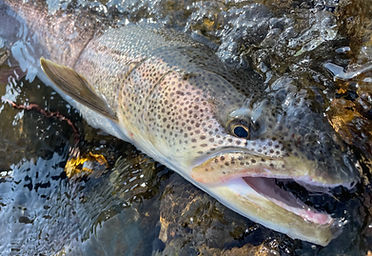 北海道 富良野・トマムでラフティング&フィッシングならガイドラインアウトドアクラブ