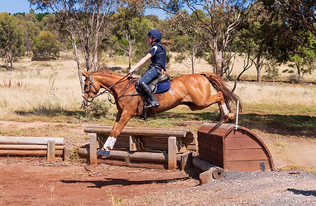 ESB Golden Chuckle XC schooling