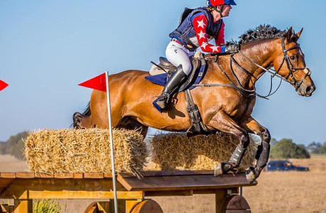 Irish Gem on course in the 2* at Geelong