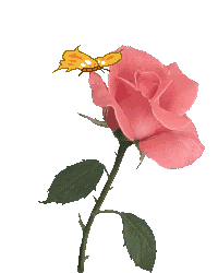 flower03.gif