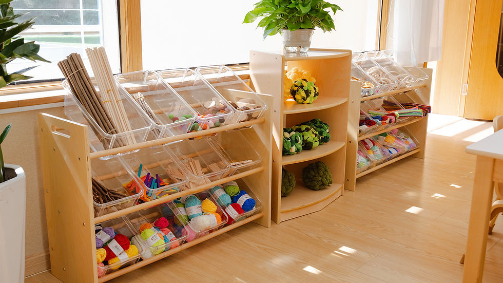 Well-organised and Accessible Storage