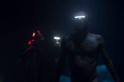 Jardim das Delícias