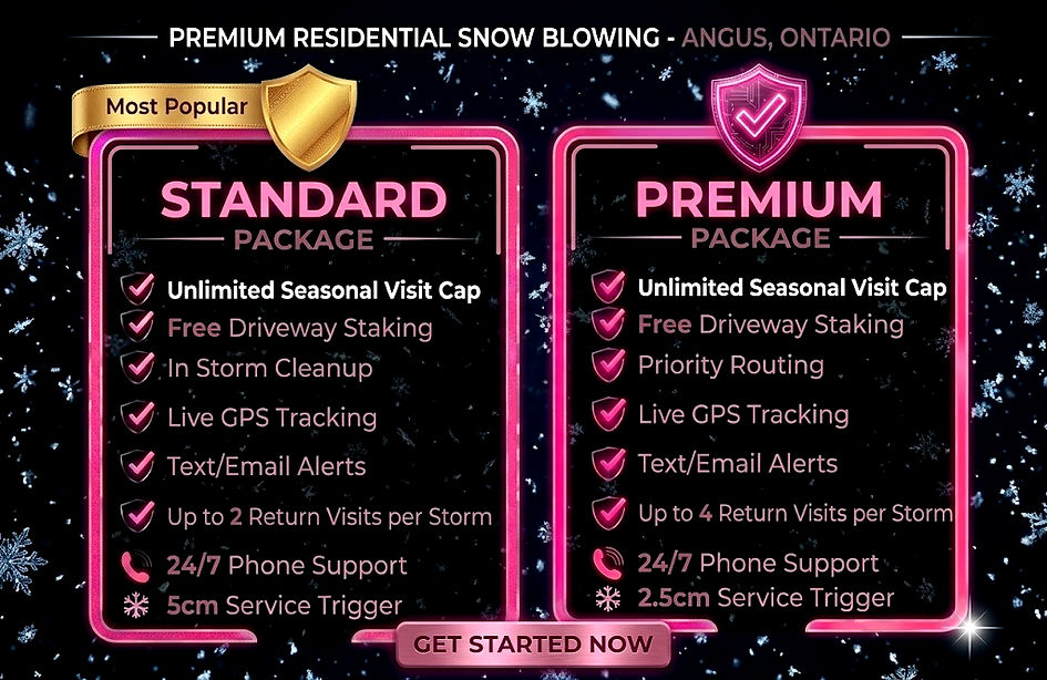 Snow pricing final_edited.jpg
