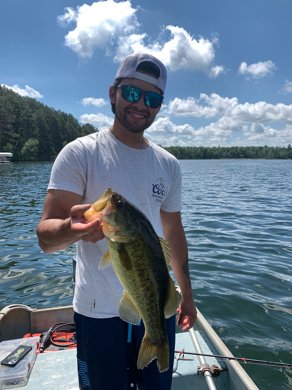 Bass