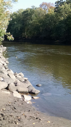 Crow River shoreline with rocks