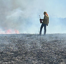 Native Prairie Burn category 4.JPG