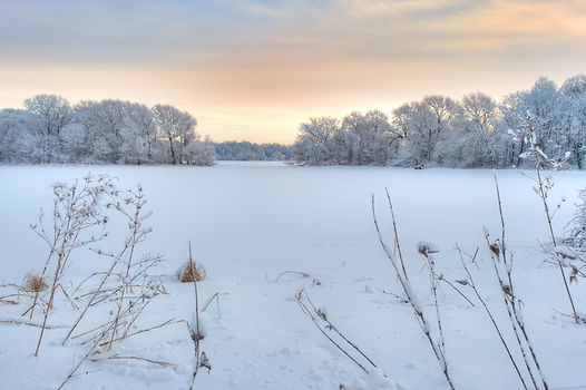 NFCR Scenic Hauge Photo