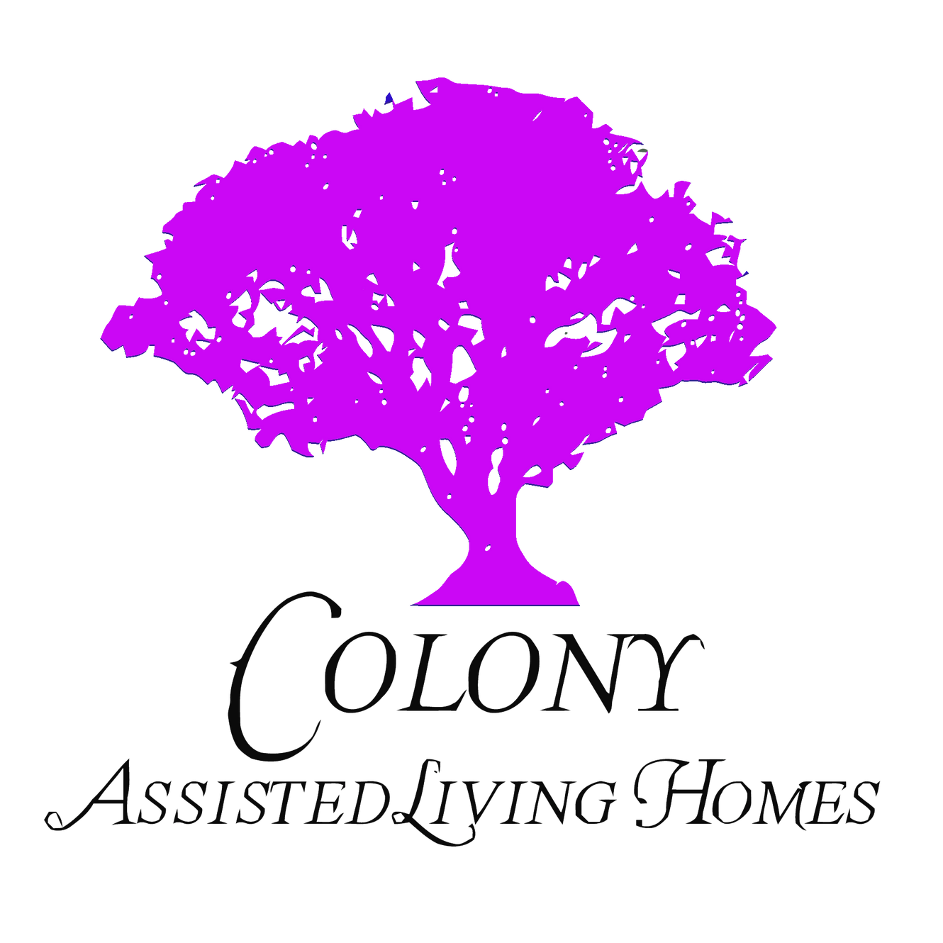 Colony Manor Assisted Living Homes