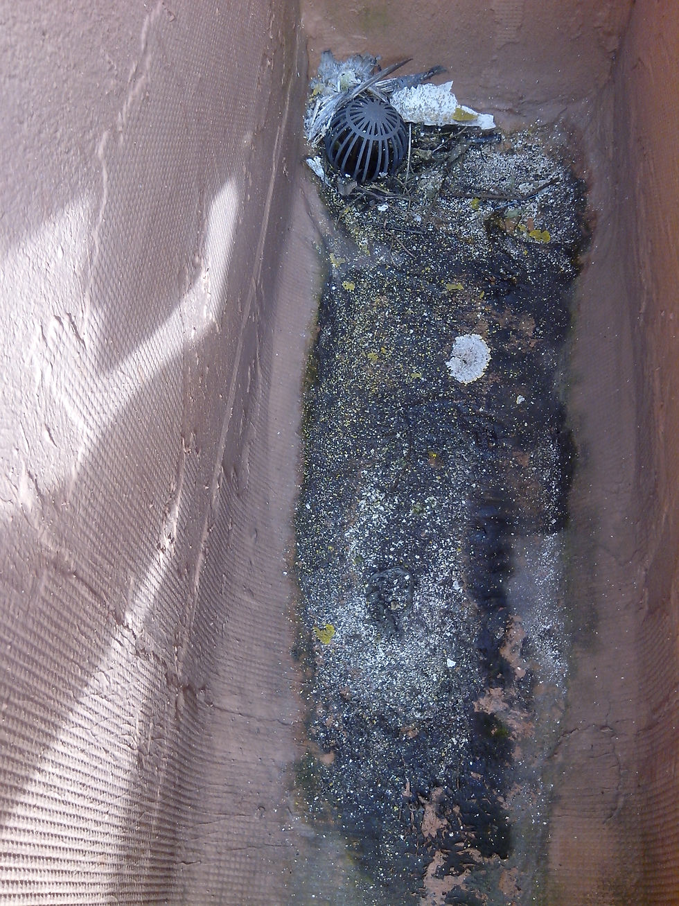 Limpeza Manutenção de Telhados