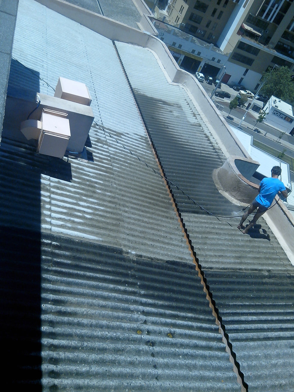 Limpeza Manutenção de Telhados
