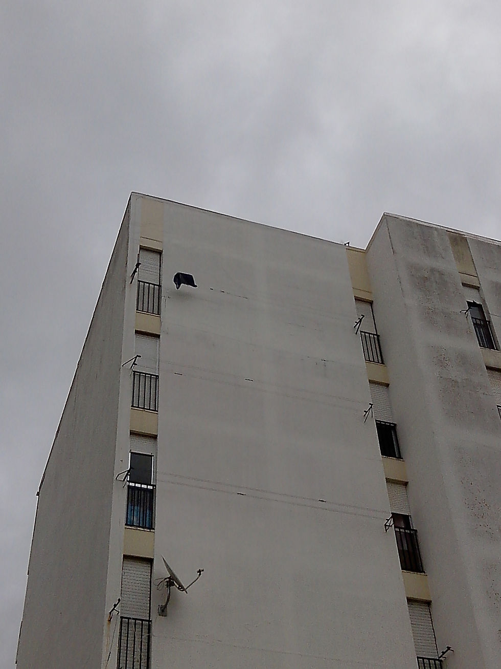 Pinturas e Restauros de edifícios,